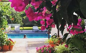 Horta D'En Rahola - Adults Only